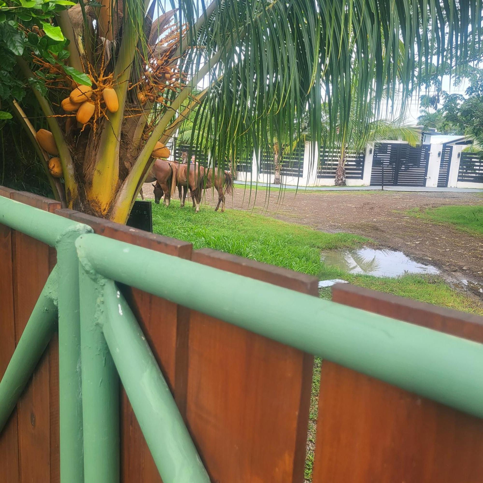 Madre Terra Bed & Breakfast Uvita Luaran gambar