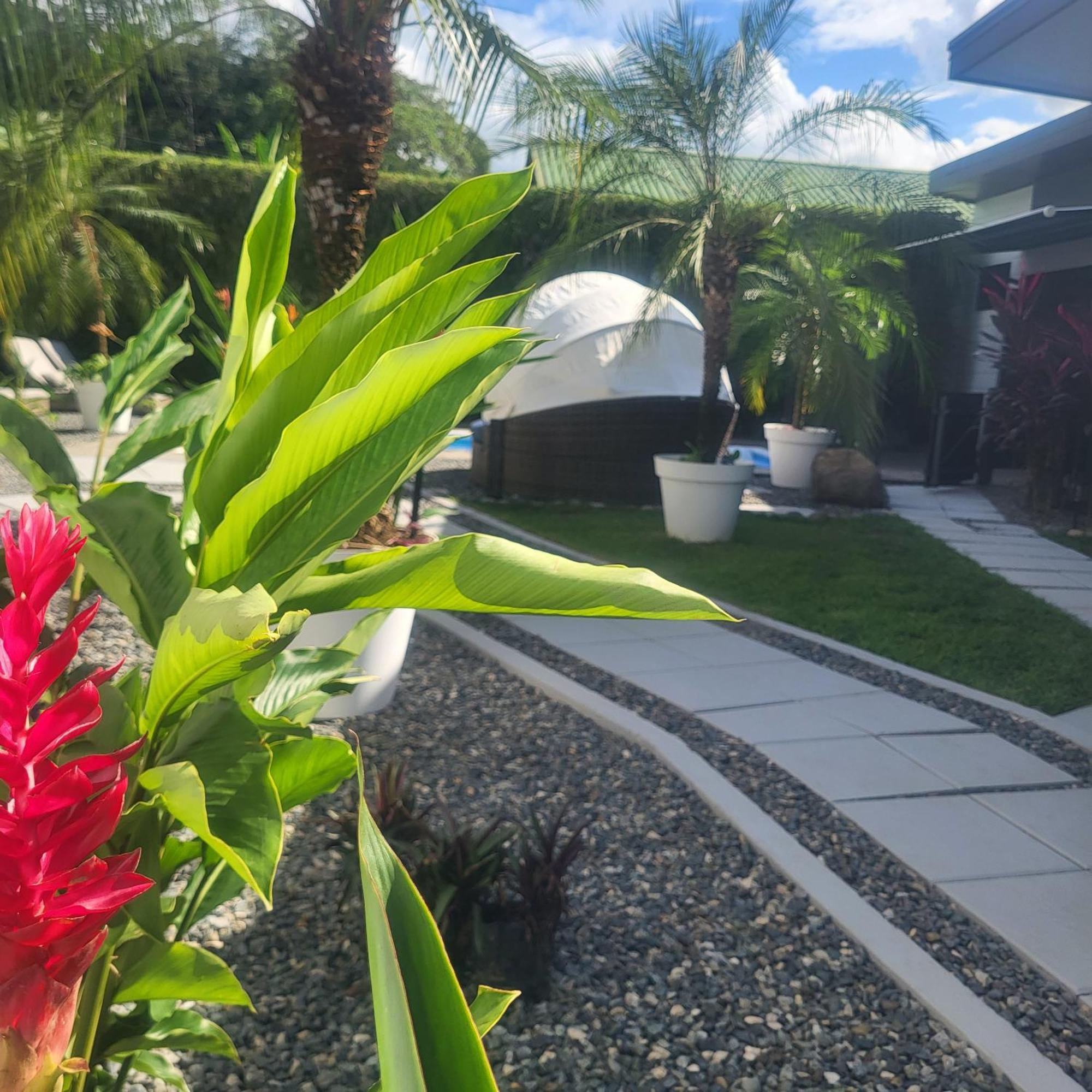 Madre Terra Bed & Breakfast Uvita Luaran gambar