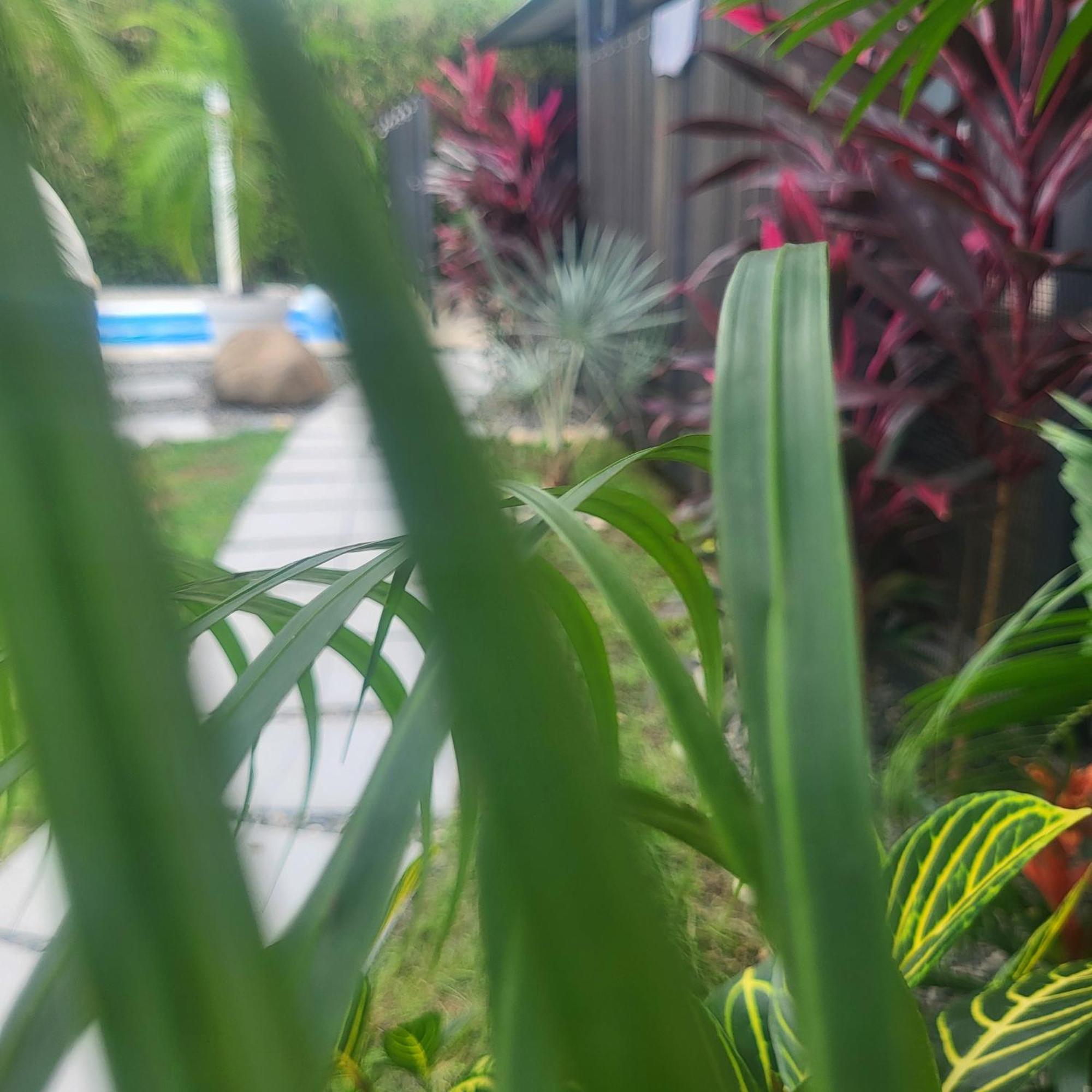 Madre Terra Bed & Breakfast Uvita Luaran gambar