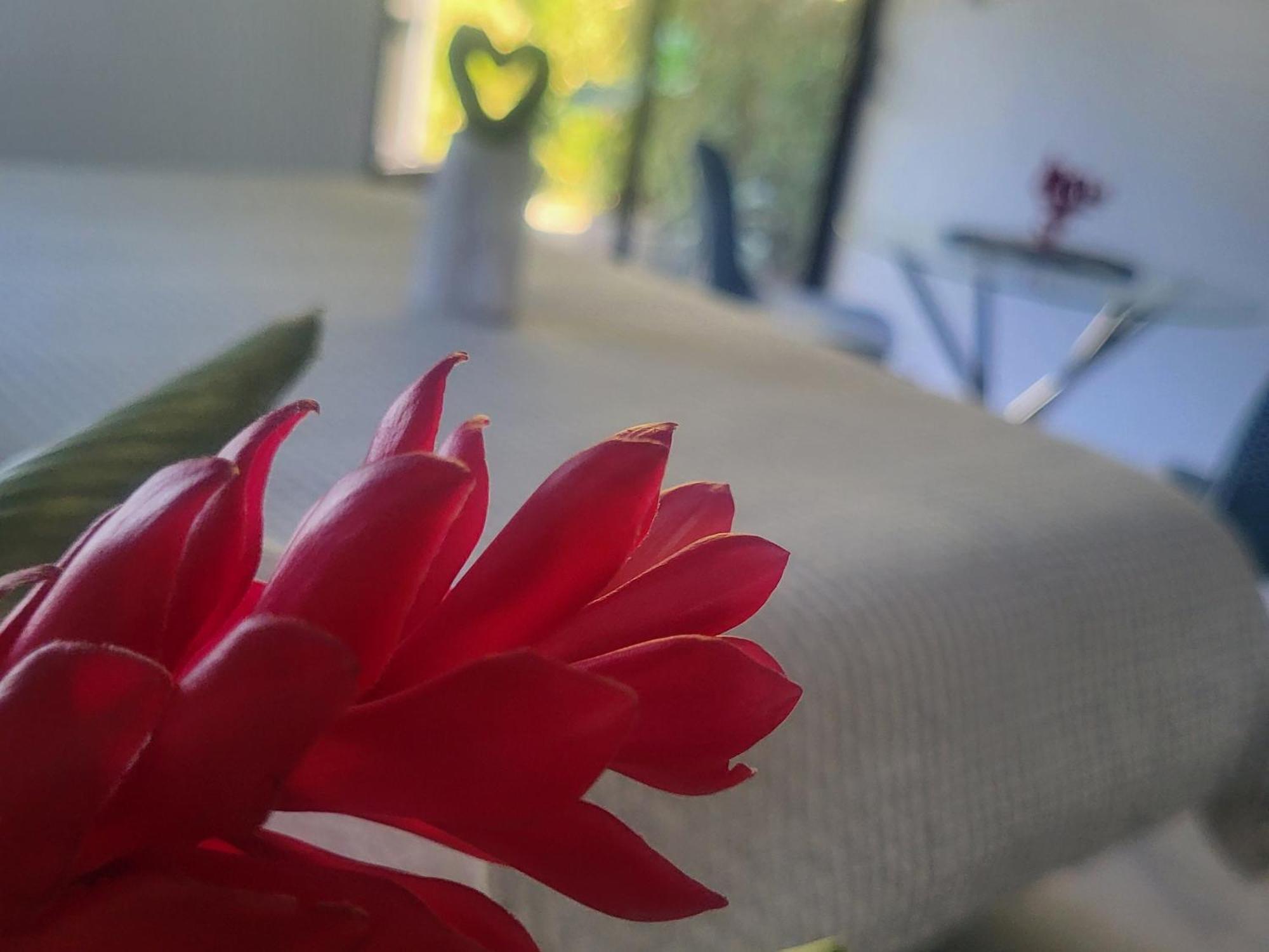 Madre Terra Bed & Breakfast Uvita Luaran gambar