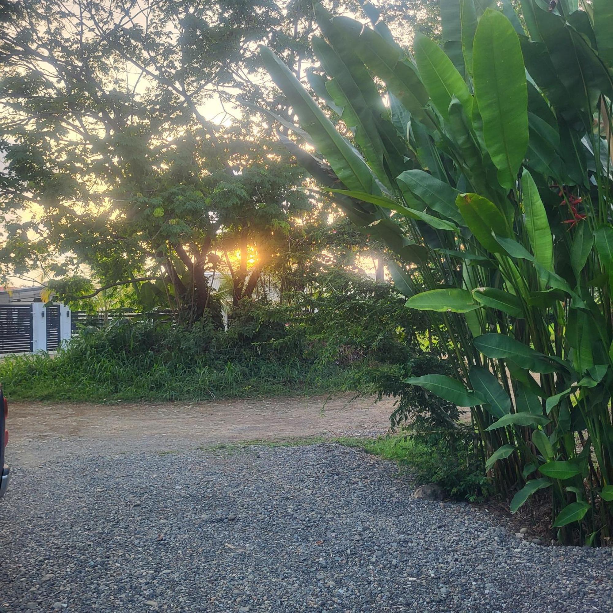 Madre Terra Bed & Breakfast Uvita Luaran gambar